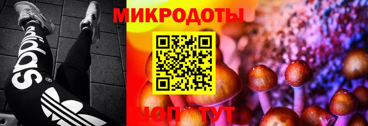 Чебоксары  Псилоцибиновые грибы мухоморы  Галлюциногенные грибы ЛСД  Вход с VPN 